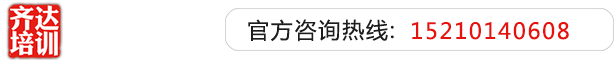 大黑吊操齐达艺考文化课-艺术生文化课,艺术类文化课,艺考生文化课logo